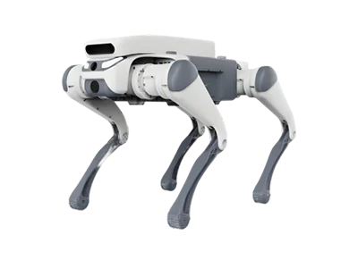 zncd6